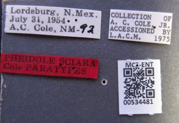Media type: image;   Entomology 534481 Aspect: labels